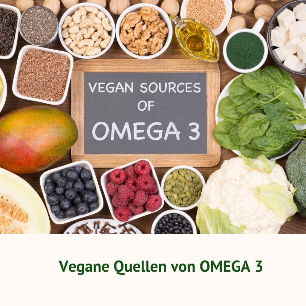 OMEGA 3 - Quellen vegan